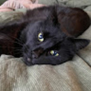 Meet your Posher, Skye